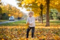 Happy child, playing with pet dog in autumn park on a sunny day Royalty Free Stock Photo