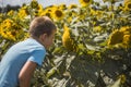 Happy child playing with sunflower outdoor. Kid having fun in green spring field against blue sky background. Healthy and active Royalty Free Stock Photo