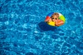 Happy child playing in swimming pool Royalty Free Stock Photo