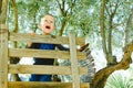 Happy child playing on top of a little wooden house on the tree in spring Royalty Free Stock Photo