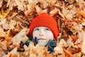 Happy child resting in autumn leaves. Boy playing with fallen maple leaves. Cute kid on a walk in the autumn park Royalty Free Stock Photo