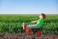 Happy child riding bike outdoor in spring green field Royalty Free Stock Photo