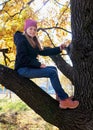 Happy child sitting on branch of tree on sunny autumn day Royalty Free Stock Photo