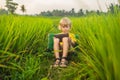 Happy child sitting on the field holding tablet. Boy sitting on the grass on sunny day. Home schooling or playing a Royalty Free Stock Photo