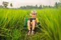 Happy child sitting on the field holding tablet. Boy sitting on the grass on sunny day. Home schooling or playing a Royalty Free Stock Photo