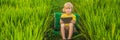 Happy child sitting on the field holding tablet. Boy sitting on the grass on sunny day. Home schooling or playing a Royalty Free Stock Photo