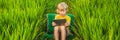 Happy child sitting on the field holding tablet. Boy sitting on the grass on sunny day. Home schooling or playing a Royalty Free Stock Photo