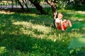 Happy child teen boy sitting on green grass outdoors in spring park or garden. Happy child boy on meadow in summer in Royalty Free Stock Photo