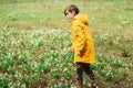 Happy child on a walk in spring. Beautiful park with first spring flowers. Meadow with snowdrops. Early spring weather