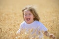 Happy child on wheat field. Excited boy in the rye fields. Royalty Free Stock Photo