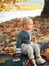 Happy childhood. Childhood memories. Child autumn leaves background. Warm moments of autumn. Toddler boy blue eyes enjoy Royalty Free Stock Photo