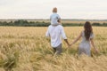 Happy childhood, family walking on the wheat field Royalty Free Stock Photo