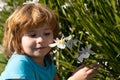 Happy childhood. Spring kid allergie sniffs blooming flower. Cute child in blossom garden.