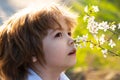Happy childhood. Spring kid allergie sniffs blooming tree. Cute child in blossom garden.