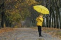 Happy childis jumping in the park in a yellow raincoat with an umbrella. Autumn rainy day