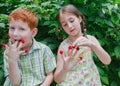 Happy children eating raspberry from fingers in summer garden Royalty Free Stock Photo
