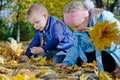 Happy children playing in autumn leaves Royalty Free Stock Photo