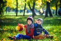 Happy children playing in beautiful autumn park on warm sunny fall day. Kids play with golden maple leaves. Royalty Free Stock Photo