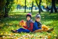 Happy children playing in beautiful autumn park on warm sunny fall day. Kids play with golden maple leaves Royalty Free Stock Photo