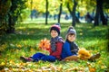 Happy children playing in beautiful autumn park on warm sunny fall day. Kids play with golden maple leaves Royalty Free Stock Photo