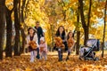 happy children playing together and scattering yellow leaves, portrait of big family in autumn city park, children running with