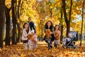 happy children playing together and scattering yellow leaves, portrait of big family in autumn city park, children running with