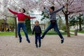 Happy children, siblings in pink blooming sacura garden, playing