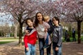 Happy children, siblings in pink blooming sacura garden, playing