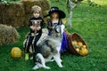Happy children with skeleton and witch costume holding and eating candies. Happy Halloween Cute children daughter and Royalty Free Stock Photo