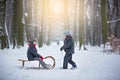 Happy children in a winter park, playing together with a sledge Royalty Free Stock Photo