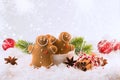 Happy chill out time,Group of smiling gingerbread men cookies celebrate Christmas and New Year Party with bengal lights. Royalty Free Stock Photo