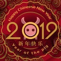 2019 happy chineese new year of pig vector illustration