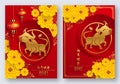 Happy chinese new year 2021 Royalty Free Stock Photo