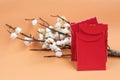 Happy Chinese New Year card backgrounds with white flowers branch and red envelopes on soft orange background. Royalty Free Stock Photo