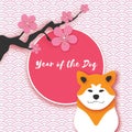 2018 Happy Chinese New Year Greeting Card. Chinese year of the Dog. Paper cut Akita Inu doggy. Sakura Blossom. Circle Royalty Free Stock Photo