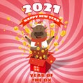 Happy Chinese 2021 new year greeting card. Year of the ox. Cute bull and open red gift boxg confetti gold money. Chinese Royalty Free Stock Photo