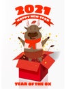 Happy Chinese 2021 new year greeting card. Year of the ox. Cute bull and open red gift boxg confetti gold. Chinese Royalty Free Stock Photo