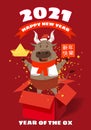 Happy Chinese 2021 new year greeting card. Year of the ox. Cute bull and open red gift boxg confetti gold money. Chinese Royalty Free Stock Photo