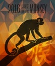 Happy chinese new year monkey 2016 greeting card Royalty Free Stock Photo