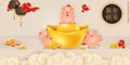 Happy Chinese New year of the pig. Cute cartoon Pigs character design with chinese gold ingot for card, flyers