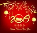 Happy Chinese New Year 2019, Year of the Pig. Lunar new year. Chinese characters mean Happy New Year Royalty Free Stock Photo