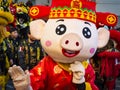 Happy chinese new year 2019. Pig year in Paris Royalty Free Stock Photo