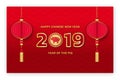 Happy Chinese New Year 2019 Pig Zodiac Greeting Royalty Free Stock Photo