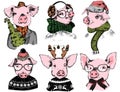 Happy Chinese New 2019 Year of piggy set Royalty Free Stock Photo