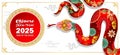 Happy Chinese new year 2025 template,year of the snake with beautiful gradient element background