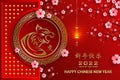 Happy chinese new year 2022, Tiger Zodiac sign, with gold paper cut art and craft style on color background for greeting card, fly