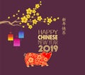 Happy Chinese New Year 2019 year of the pig. Chinese characters mean Happy New Year, wealthy, Zodiac sign for greetings card, flye Royalty Free Stock Photo