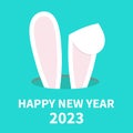 Happy Chinese New Year 2023. The year of the rabbit. Bunny ears. Rabbit hole. Hidden head face. Cute cartoon kawaii funny baby