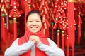 Happy chinese new year Royalty Free Stock Photo