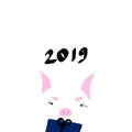 Happy chinese new year 2019 Zodiac sign Year of the pig. Lovely pig with flowers. Vector illustration Royalty Free Stock Photo